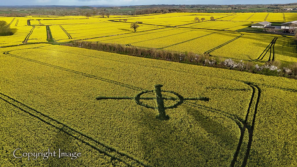 Kornkreis in England 2026