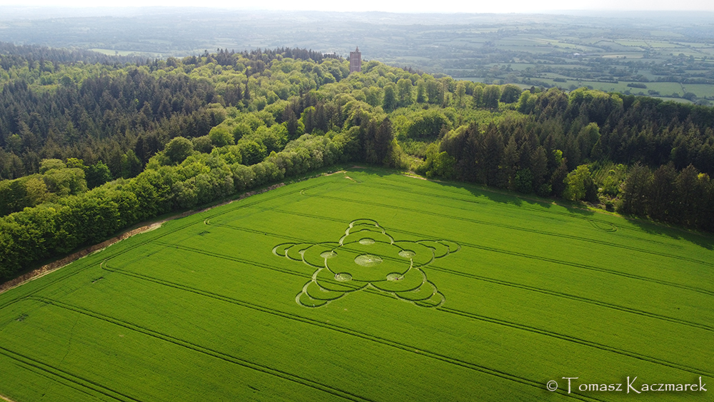 Kornkreis vom 8. Mai 2026 bei Jack’s Plantation, Bruton, Wiltshire, England