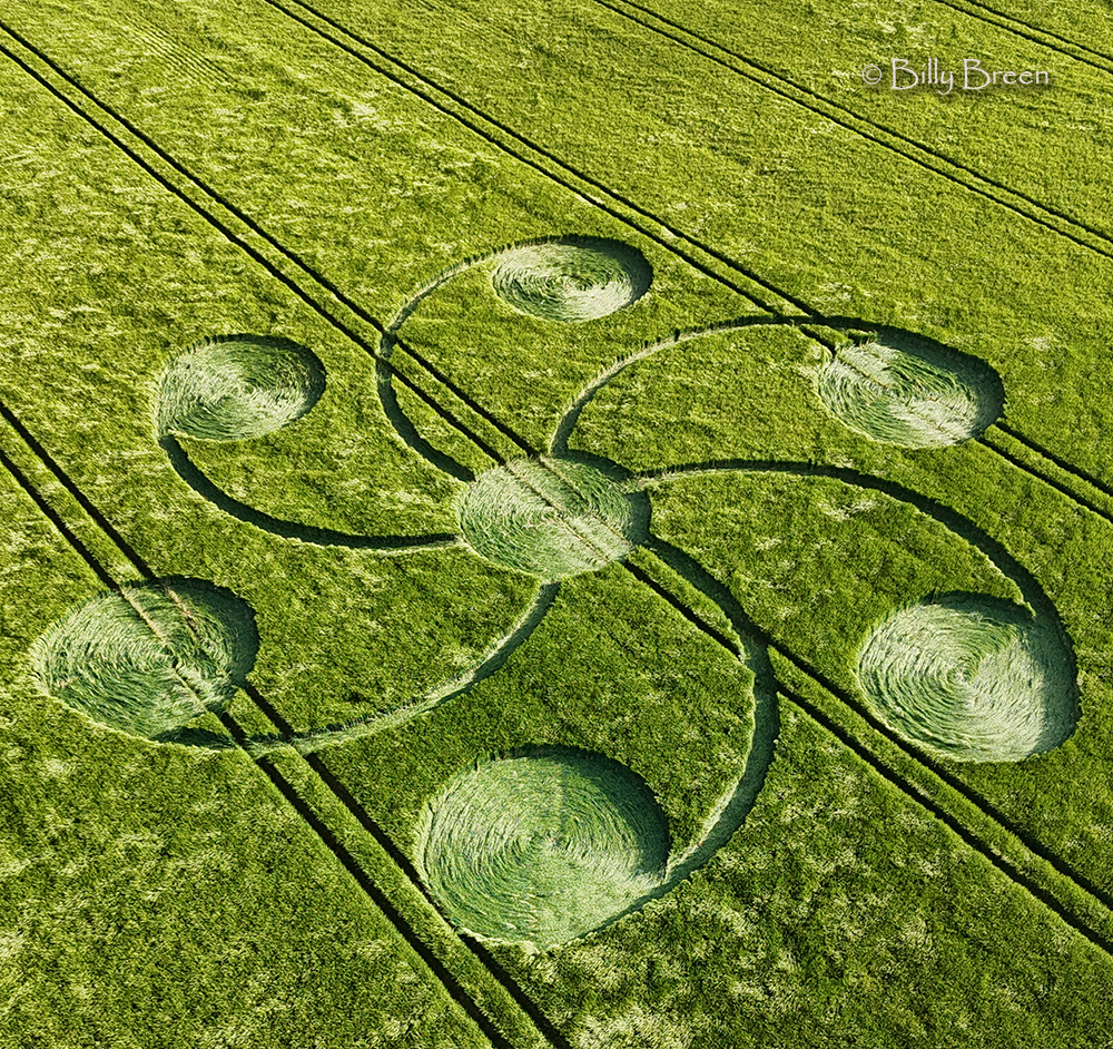 Kornkreis 2026 bei Kingweston, Somerset, England