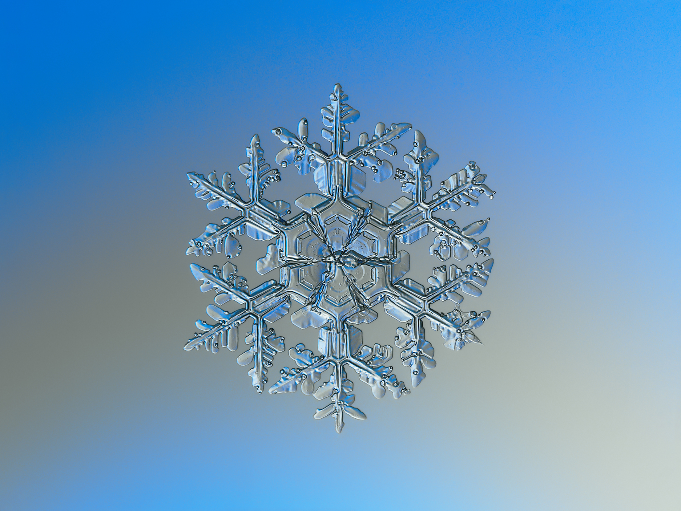 Eiskristall (Makro-Fotografie)
