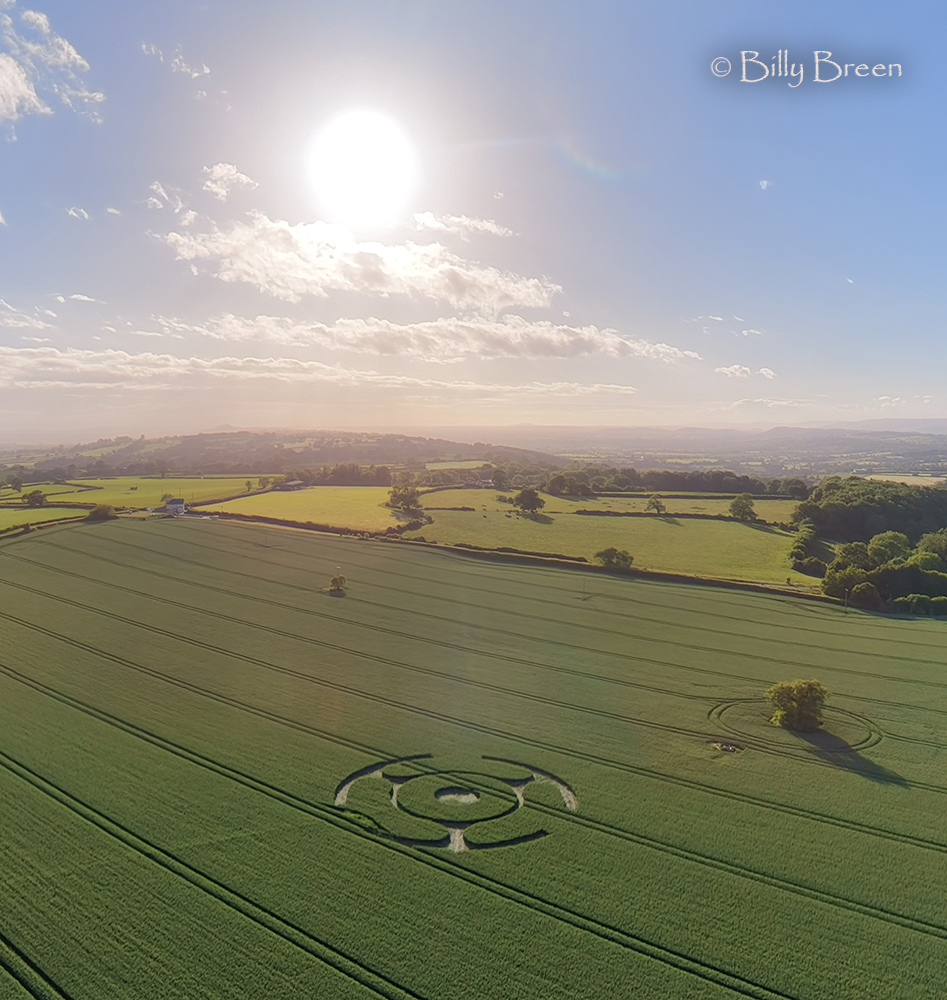 Kornkreis bei Ditcheat, Somerset, England, 31. Mai 2026