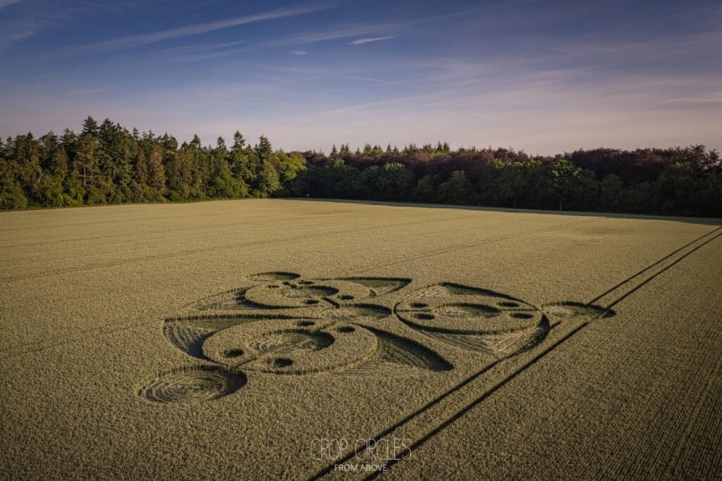 Kornkreis vom 15. Juni 2026 in Nr Wilton, Wiltshire, England