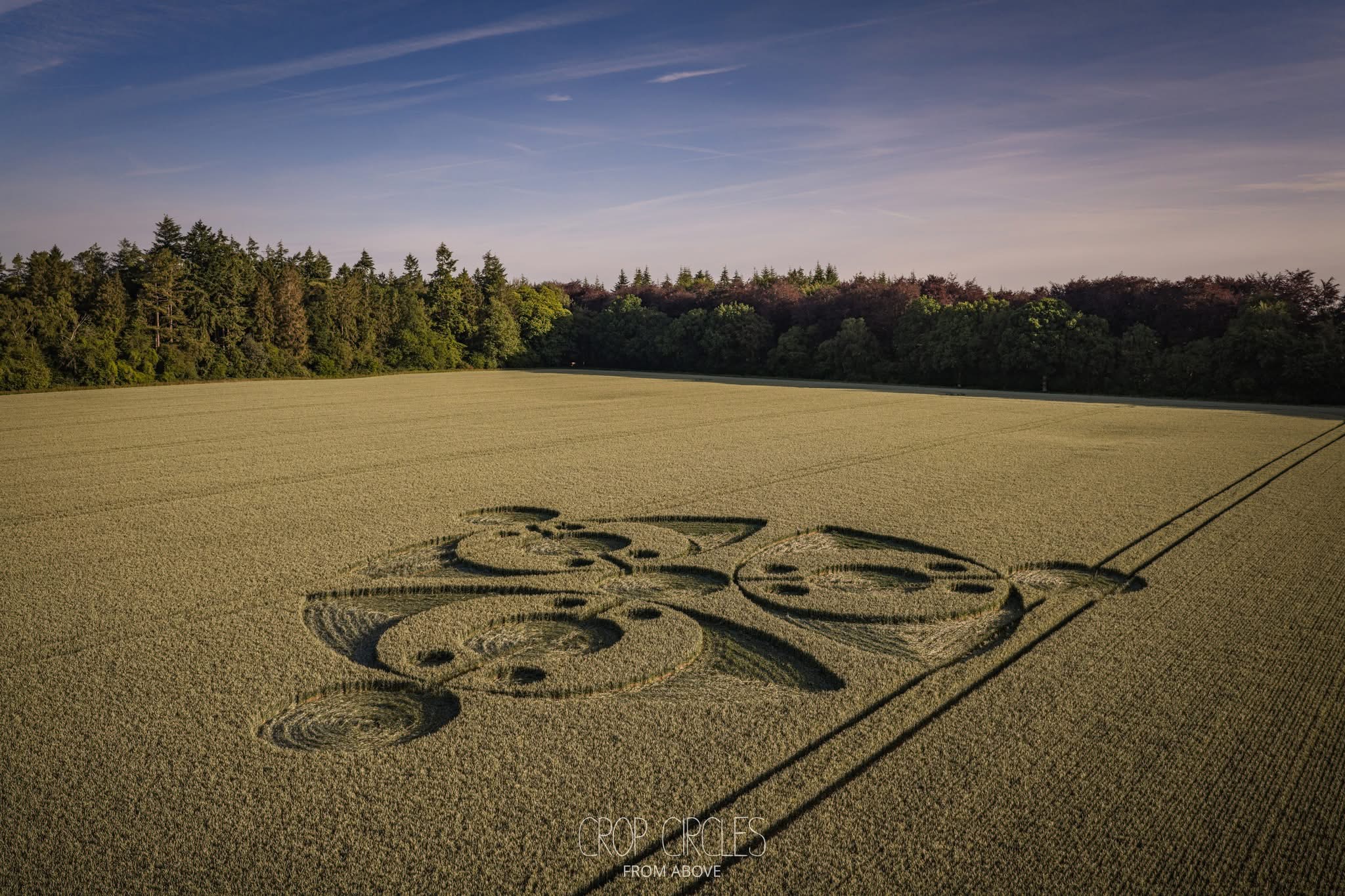 Kornkreis vom 15. Juni 2026 in Nr Wilton, Wiltshire, England